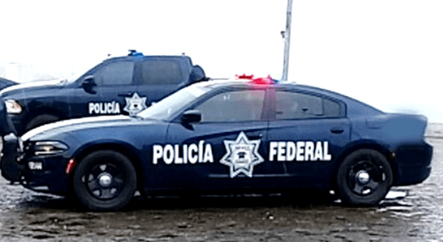 US Department of State issued advisories for American citizens, while US officials said the operation marked a significant blow to organised crime. Analysts, however, warned that eliminating cartel leaders can spark further instability and violence.