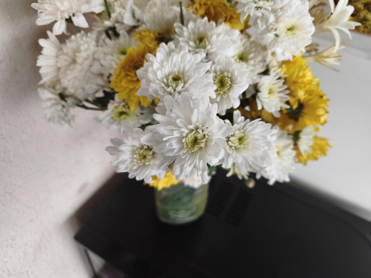 Shot on Redmi Note 15 Pro