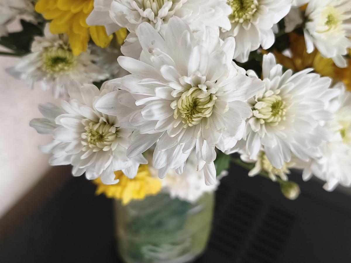 Shot on Redmi Note 15 Pro