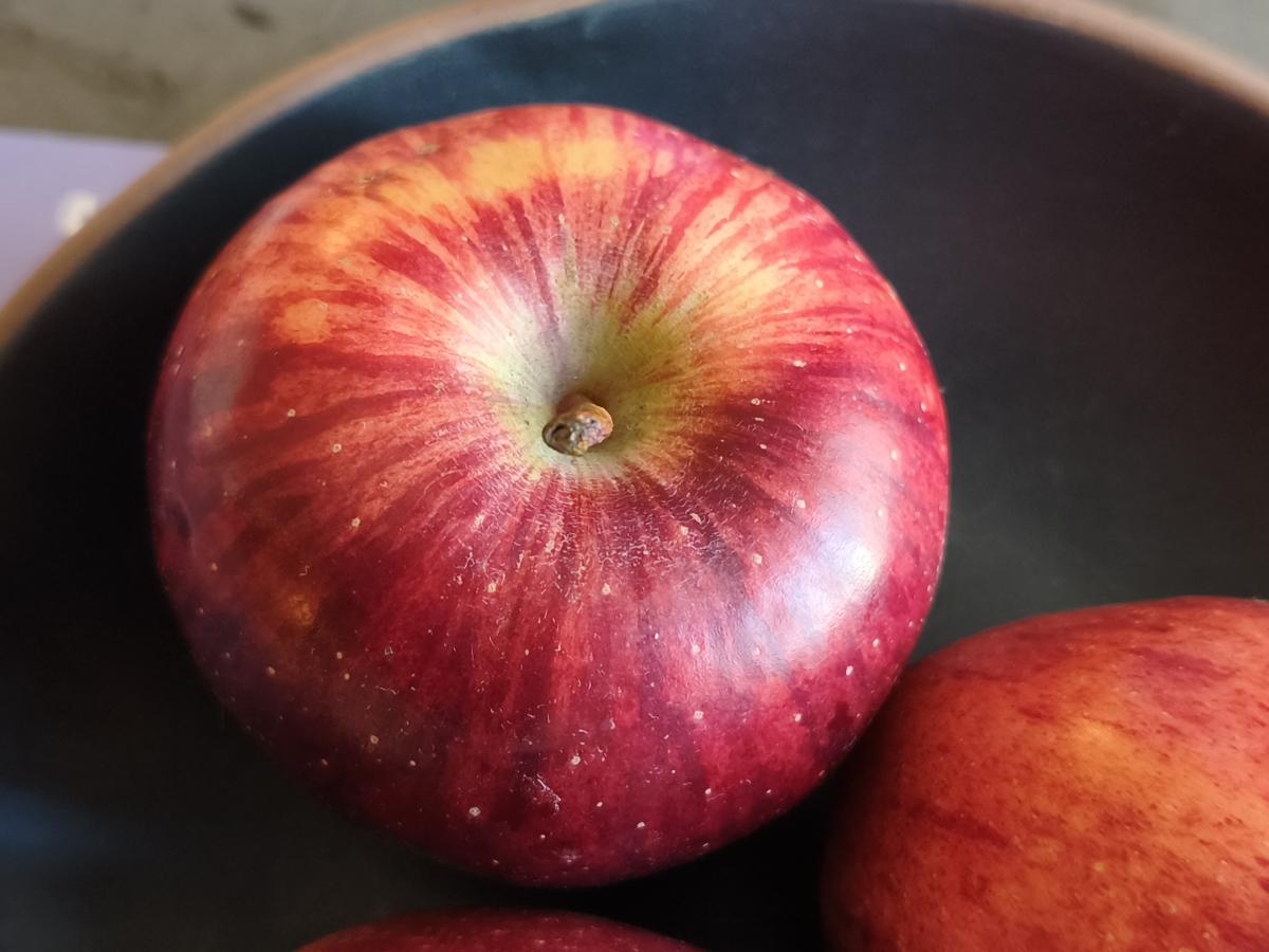 Shot on Redmi Note 15 Pro