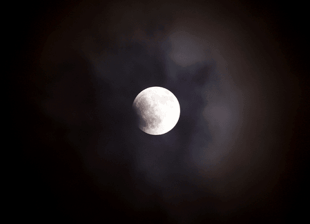 First lunar eclipse of 2026 today; temples across India close, priests outline ritual guidelines