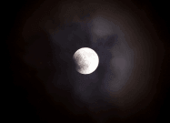 First lunar eclipse of 2026 today; temples across India close, priests outline ritual guidelines