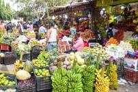 West Asia tensions halt Kerala's fruit, vegetable exports, Ramzan market impacted