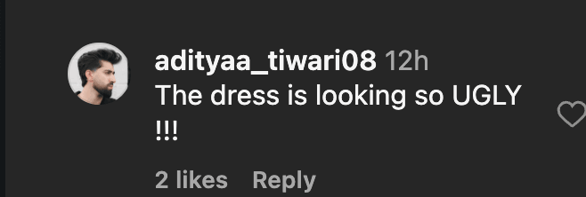 Oscars 2026: Priyanka Chopra's sexy metallic thigh-high slit with fur reminds fans of Alia Bhatt BAFTA look; netizens call PC's outfit tacky