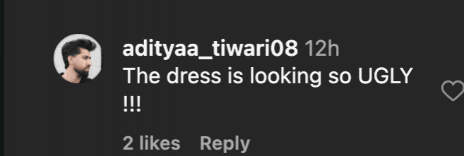 Oscars 2026: Priyanka Chopra's sexy metallic thigh-high slit with fur reminds fans of Alia Bhatt BAFTA look; netizens call PC's outfit tacky Oscars 2026: Priyanka Chopra's sexy metallic thigh-high slit with fur reminds fans of Alia Bhatt BAFTA look; netizens call PC's outfit tacky