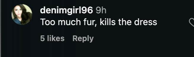 Oscars 2026: Priyanka Chopra's sexy metallic thigh-high slit with fur reminds fans of Alia Bhatt BAFTA look; netizens call PC's outfit tacky Oscars 2026: Priyanka Chopra's sexy metallic thigh-high slit with fur reminds fans of Alia Bhatt BAFTA look; netizens call PC's outfit tacky