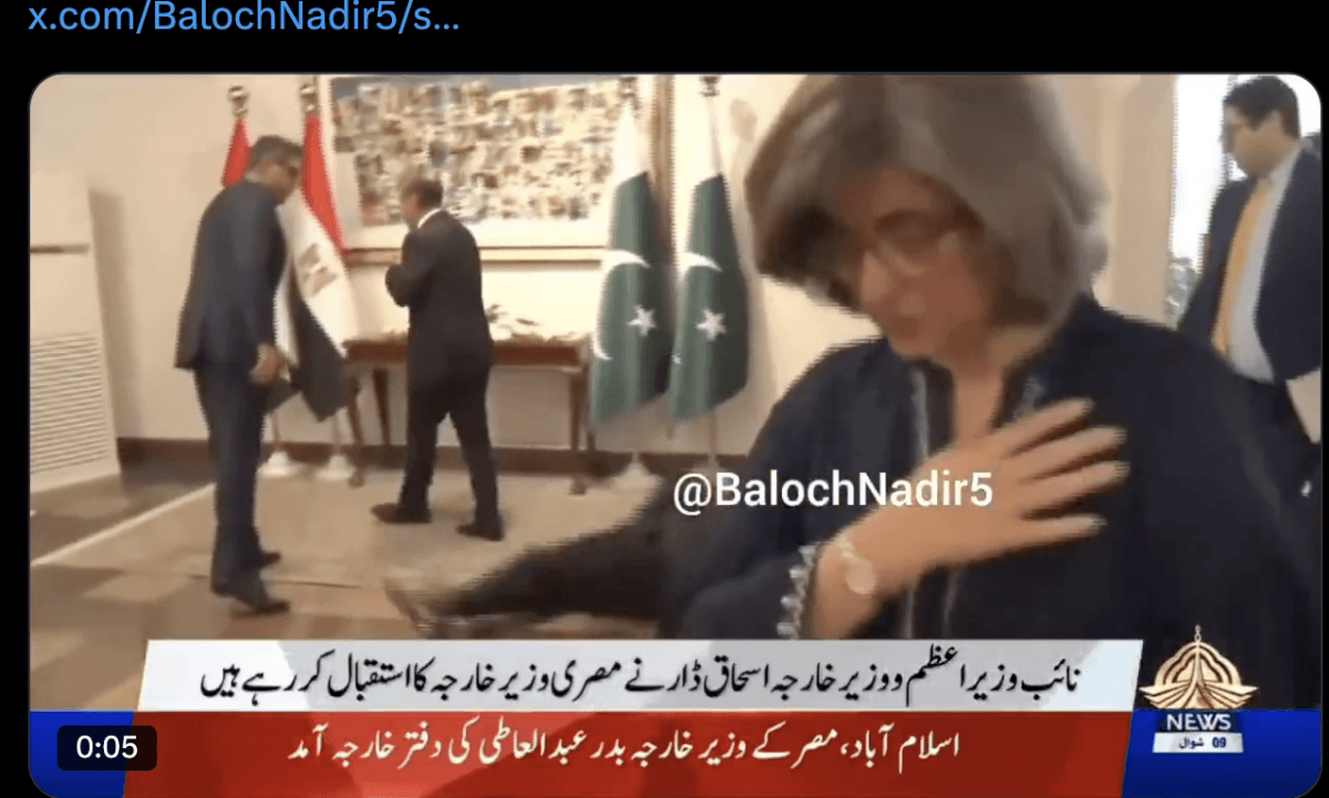 Viral video: Pakistan's deputy PM Ishaq Dar slips on red carpet during diplomatic meet