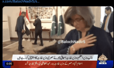 Viral video: Pakistan's deputy PM Ishaq Dar slips on red carpet during diplomatic meet