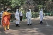 Bird Flu outbreak contained in Bengaluru, no human cases detected: Karnataka Health Dept