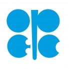 UAE exits OPEC and OPEC  from May 1, amid strategic energy realignment plans