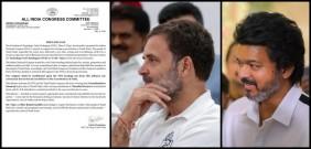 Congress backs Vijay's TVK to form govt in Tamil Nadu, DMK calls move 'backstabbing'