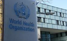 WHO confirms 5 hantavirus cases linked to cruise ship outbreak; 12 countries alerted as health agencies monitor; know about symptoms, spread and treatment