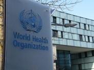 WHO confirms 5 hantavirus cases linked to cruise ship outbreak; 12 countries alerted as health agencies monitor; know about symptoms, spread and treatment