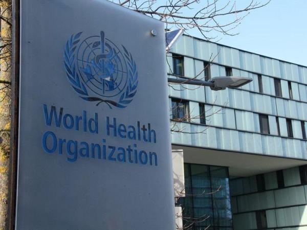 WHO confirms 5 hantavirus cases linked to cruise ship outbreak; 12 countries alerted as health agencies monitor; know about symptoms, spread and treatment