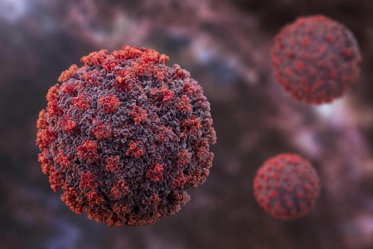 Two British nationals test positive for hantavirus; experts say pandemic risk remains low, no India cases reported so far