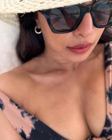 Hottest at 40! Priyanka Chopra skips blouse, revamps 20-year-old chikankari saree into gown; fans say she's 'ageing in reverse'