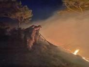 IAF Mi-17 choppers control massive forest fire in Himachal's Kasauli