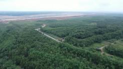 Adani Group transforms Chhattisgarh's Surguja mine into green landscape with 1.6 million trees