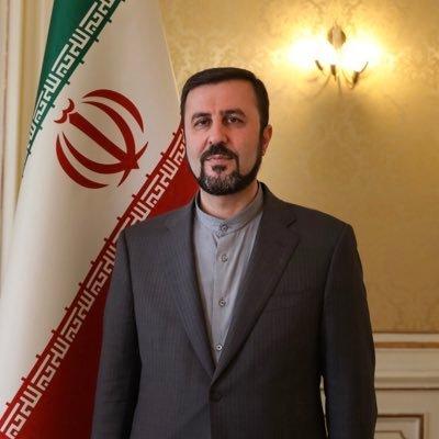 Iran, US agree on ceasefire on all fronts, lifting of naval blockade: Iranian deputy FM