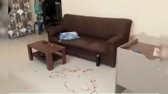 Bengaluru horror: Daughter, boyfriend hack parents, sister to death for questioning Rs 30 lakh loan, live-in relationship