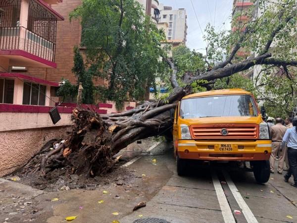 Mumbai Tree Fall: 11-Year-Old Killed After Tree Falls on School Bus in Chembur, Mayor Orders Probe Mumbai Tree Fall: 11-Year-Old Killed After Tree Falls on School Bus in Chembur, Mayor Orders Probe