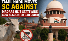Tamil Nadu moves SC against Madras HC's statewide cow slaughter ban order