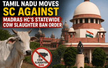 Tamil Nadu moves SC against Madras HC's statewide cow slaughter ban order