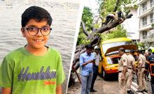 'Tree Collapse Beyond Human Control': Minister On Mumbai Schoolboy's Death