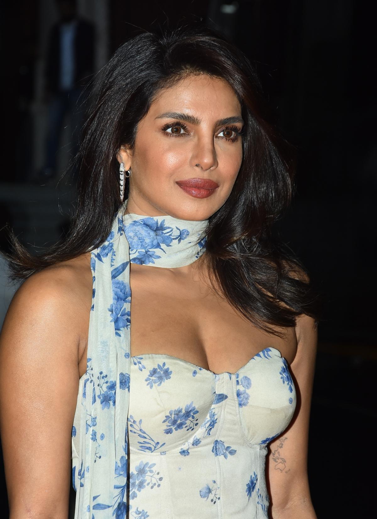 Priyanka Chopra shares celebrations of pre-Independence Day fireworks in the US