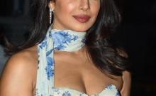 Priyanka Chopra shares celebrations of pre-Independence Day fireworks in the US