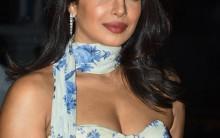 Priyanka Chopra shares celebrations of pre-Independence Day fireworks in the US
