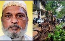 Mumbai rains: Man dies after tree falls on him, Mayor advises caution amid Red alert