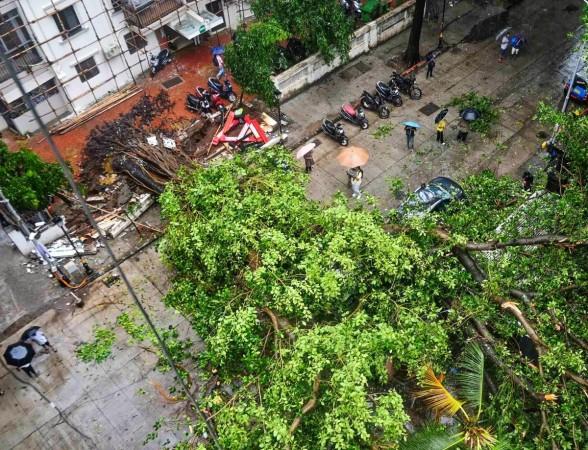 Mumbai rains: Man dies after tree falls on him, Mayor advises caution amid Red alert Mumbai rains: Man dies after tree falls on him, Mayor advises caution amid Red alert