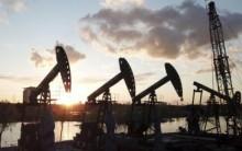 E20 petrol saved Rs 1.90 lakh crore in forex as OPEC  weighs August oil output hike