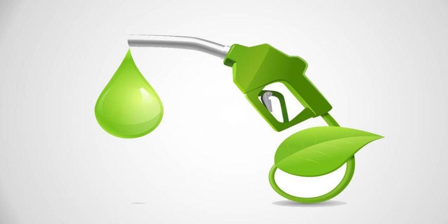 E20 petrol saved Rs 1.90 lakh crore in forex as OPEC  weighs August oil output hike