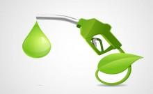 E20 petrol saved Rs 1.90 lakh crore in forex as OPEC weighs August oil output hike