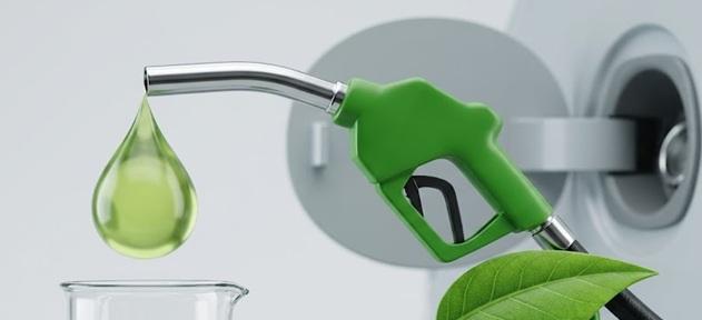 Centre dismisses reports of E-25 petrol rollout: Report