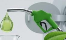 Centre dismisses reports of E-25 petrol rollout: Report