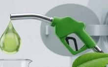 Centre dismisses reports of E-25 petrol rollout: Report