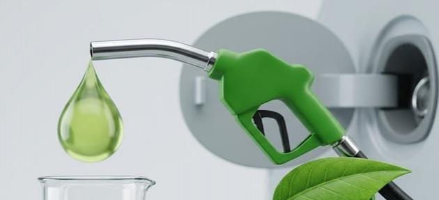 Centre dismisses reports of E-25 petrol rollout: Report Centre dismisses reports of E-25 petrol rollout: Report