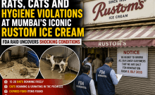 'Rats Were Running Between Our Legs': FDA Details Shocking Conditions at Rustom Ice Cream