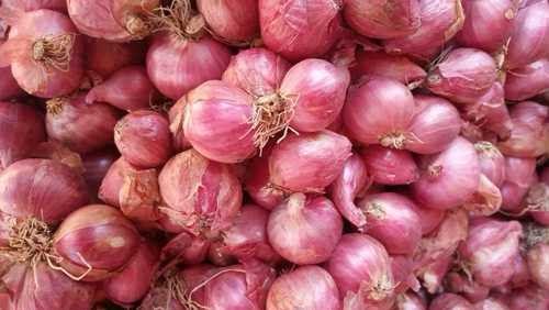 Onion Prices Jump in Chennai as heavy rains in Maharashtra Disrupt Supply