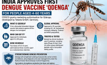 India's first dengue vaccine, who can get 'Qdenga' and how it works