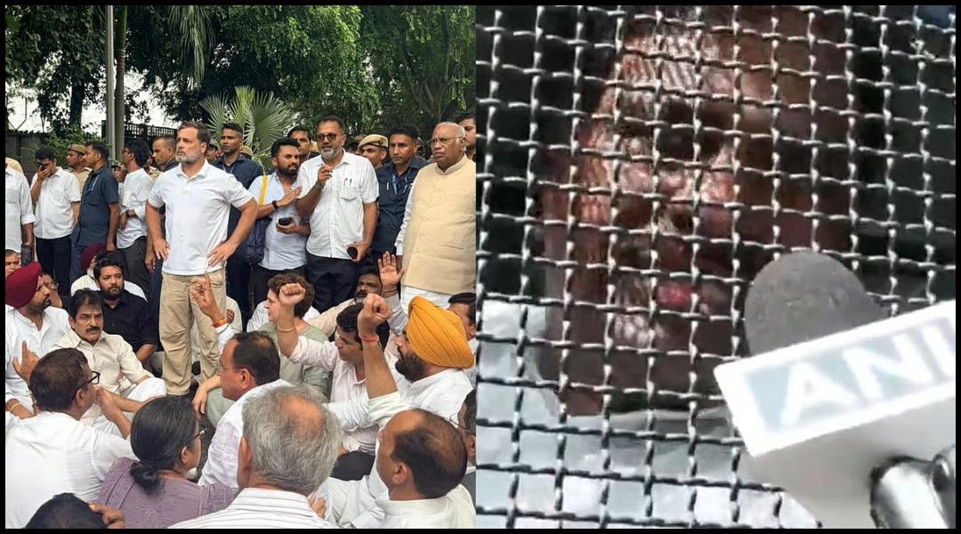 Modi should resign: Rahul and Priyanka Gandhi Protest Outside PM's Residence; Congress MPs Detained By Delhi Police