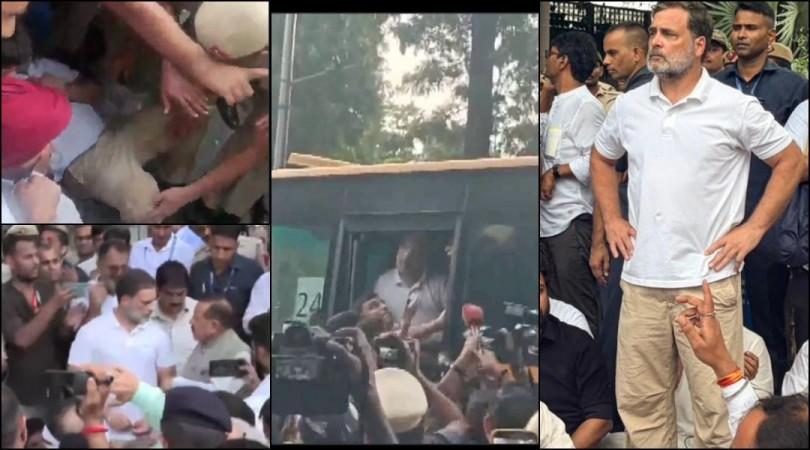 Rahul Gandhi detained by Delhi Police near PM Modi's residence during Congress protest Rahul Gandhi detained by Delhi Police near PM Modi's residence during Congress protest