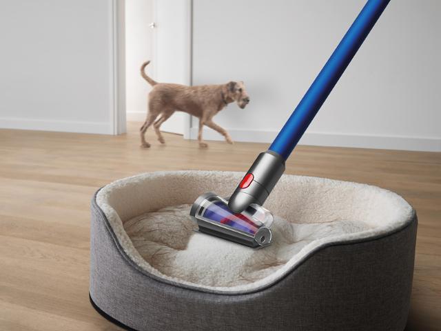 Monsoon and your pet: What dander and paw prints leave behind indoors