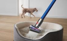 Monsoon and your pet: What dander and paw prints leave behind indoors
