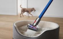 Monsoon and your pet: What dander and paw prints leave behind indoors