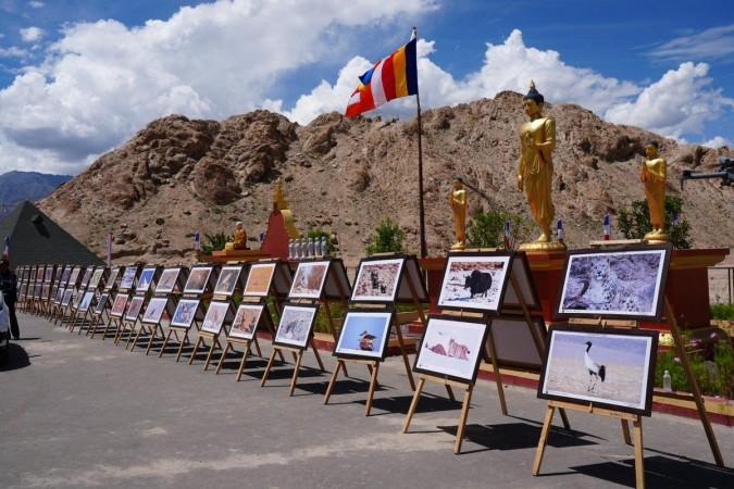 Pictures of black-necked cranes displayed during the global festival @utladakhtourism Black-necked crane