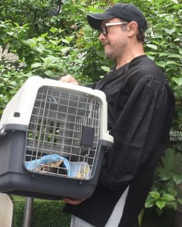 Aamir Khan carries pet cat in basket, ex-wife Kiran Rao accompanies; son Azad cries outside pet clinic